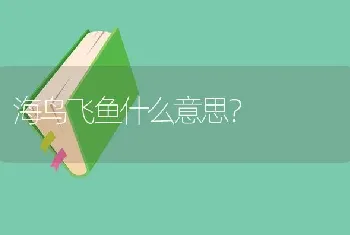 海鸟飞鱼什么意思？