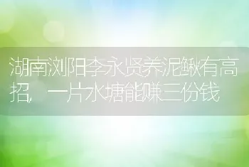 湖南浏阳李永贤养泥鳅有高招,一片水塘能赚三份钱