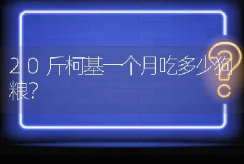 20斤柯基一个月吃多少狗粮？