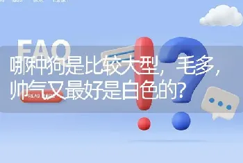 如何正确的喂养拉布拉多幼犬？