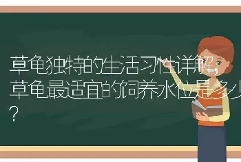 草龟独特的生活习性详解，草龟最适宜的饲养水位是多少？