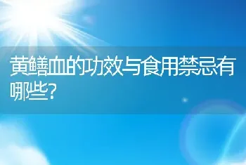 黄鳝血的功效与食用禁忌有哪些？