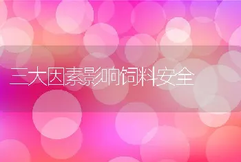 养兔四季科学管理要点