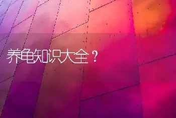 养龟知识大全？