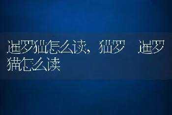 暹罗猫怎么读，猫罗 暹罗猫怎么读