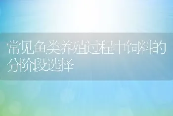 常见鱼类养殖过程中饲料的分阶段选择