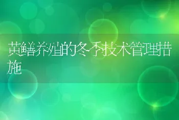 黄鳝养殖的冬季技术管理措施