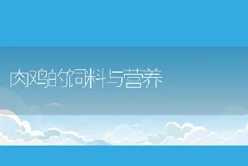 鲈鱼淡水养殖技术简介