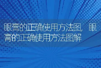 眼膏的正确使用方法图，眼膏的正确使用方法图解