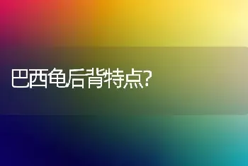 巴西龟后背特点？