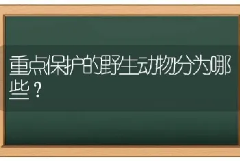 重点保护的野生动物分为哪些？