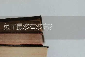 兔子最多有多高？