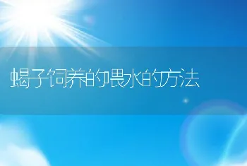 肉鸡生产中的主要疾病