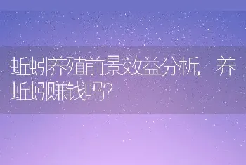 蚯蚓养殖前景效益分析,养蚯蚓赚钱吗？