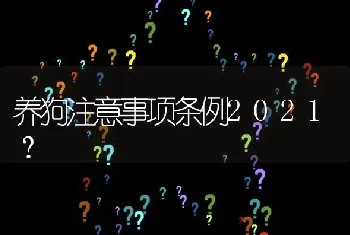 养狗注意事项条例2021？