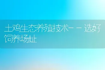 土鸡生态养殖技术--选好饲养场址