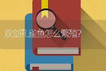 双剑孔雀鱼怎么繁殖？