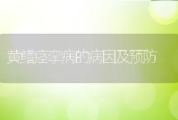 黄鳝痉挛病的病因及预防