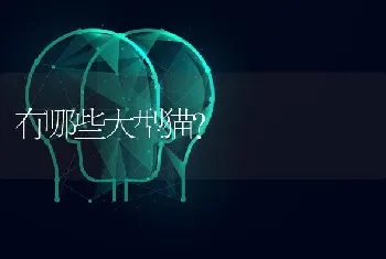 泰迪怎么养（怎么养泰迪）？