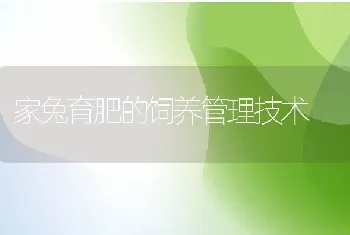 养兔场耳标使用管理方案