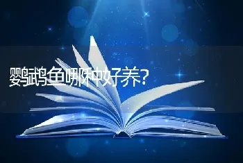 鹦鹉鱼哪种好养？