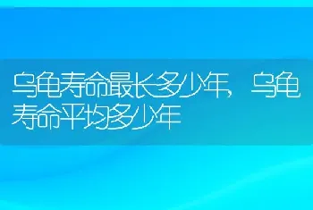 乌龟寿命最长多少年，乌龟寿命平均多少年