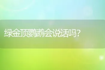 绿金顶鹦鹉会说话吗？