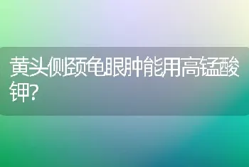 黄头侧颈龟眼肿能用高锰酸钾？