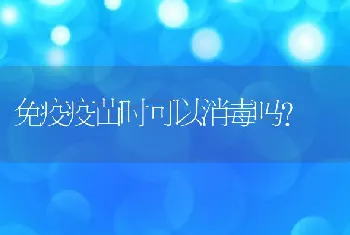 免疫疫苗时可以消毒吗？