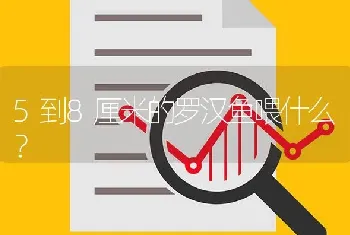 5到8厘米的罗汉鱼喂什么？