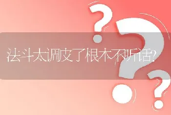 法斗太调皮了根本不听话？