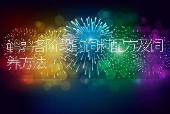 网箱高效暂养黄鳝技术