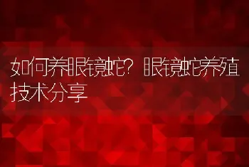 如何养眼镜蛇？眼镜蛇养殖技术分享