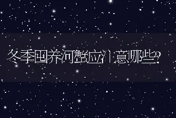 冬季囤养河蟹应注意哪些？