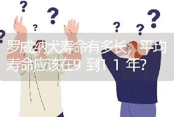 罗威纳犬寿命有多长，平均寿命应该在9到11年？