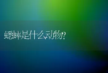 蟋蟀是什么动物？