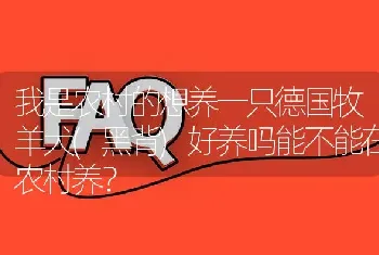 我是农村的想养一只德国牧羊犬(黑背)好养吗能不能在农村养？