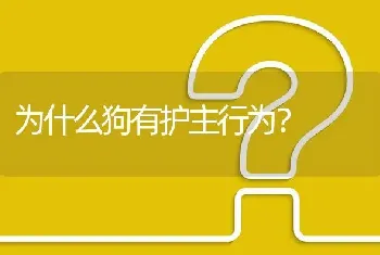 为什么狗有护主行为？