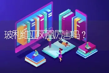 玻利维亚凤凰厉害吗？