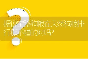 据说宝路狗粮在天然狗粮排行挺不错的对吗？