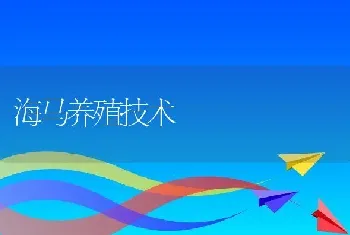 海马养殖技术