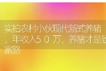 实拍农村小伙现代新式养猪，年收入50万，养猪才是致富路