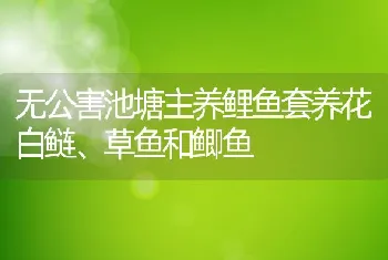 无公害池塘主养鲤鱼套养花白鲢、草鱼和鲫鱼