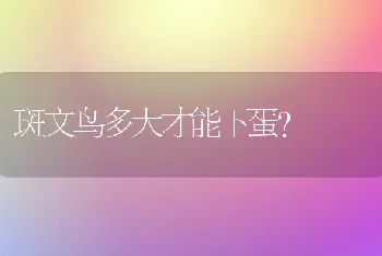 斑文鸟多大才能下蛋？