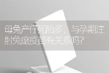 母兔产仔死胎多，与孕期注射兔瘟疫苗有关系吗？