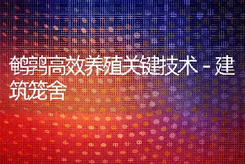 鹌鹑高效养殖关键技术－建筑笼舍