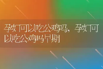 孕妇可以吃公鸡吗，孕妇可以吃公鸡吗早期