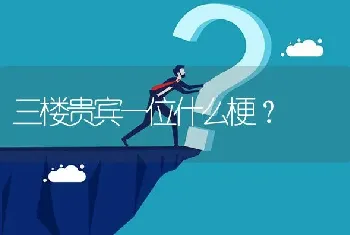 三楼贵宾一位什么梗？