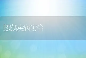 豚鼠疾病防治