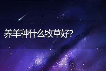 鳜鱼养殖之暴发性流行病防治技术